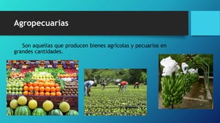 Agropecuarias
Son aquellas que producen bienes agrícolas y pecuarios en
grandes cantidades.
 