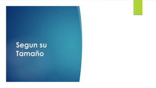 Segun su
Tamaño
 