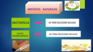 METÓDOS NATURALES
 