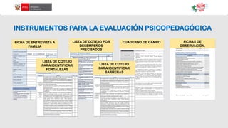 INSTRUMENTOS PARA LA EVALUACIÓN PSICOPEDAGÓGICA
FICHA DE ENTREVISTA A
FAMILIA
LISTA DE COTEJO
PARA IDENTIFICAR
FORTALEZAS
LISTA DE COTEJO POR
DESEMPEÑOS
PRECISADOS
CUADERNO DE CAMPO FICHAS DE
OBSERVACIÓN.
LISTA DE COTEJO
PARA IDENTIFICAR
BARRERAS
 