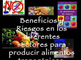 Beneficios y Riesgos en los diferentes sectores para producir alimentos transgénicos   
