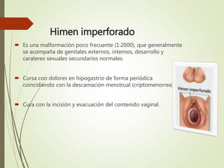 Himen imperforado
 Es una malformación poco frecuente (1:2000), que generalmente
se acompaña de genitales externos, internos, desarrollo y
carateres sexuales secundarios normales.
 Cursa con dolores en hipogastrio de forma periódica
coincidiendo con la descamación menstrual (criptomenorrea).
 Cura con la incisión y evacuación del contenido vaginal.
 