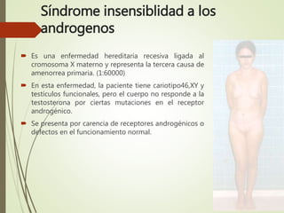 Síndrome insensiblidad a los
androgenos
 Es una enfermedad hereditaria recesiva ligada al
cromosoma X materno y representa la tercera causa de
amenorrea primaria. (1:60000)
 En esta enfermedad, la paciente tiene cariotipo46,XY y
testículos funcionales, pero el cuerpo no responde a la
testosterona por ciertas mutaciones en el receptor
androgénico.
 Se presenta por carencia de receptores androgénicos o
defectos en el funcionamiento normal.
 