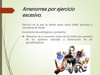 Amenorrea por ejercicio
excesivo.
Ejercicio en el que se pierde grasa como ballet, gimnasia y
corredoras de fondo
Incremento de andrógenos y prolactina
 Alteración de la secreción cíclica de las GnRH por aumento
de los opiáceos asociado a disminución de las
gonadotropinas.
 