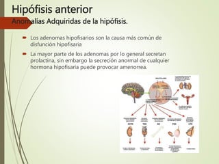 Hipófisis anterior
Anomalías Adquiridas de la hipófisis.
 Los adenomas hipofisarios son la causa más común de
disfunción hipofisaria
 La mayor parte de los adenomas por lo general secretan
prolactina, sin embargo la secreción anormal de cualquier
hormona hipofisaria puede provocar amenorrea.
 
