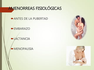 AMENORREAS FISIOLÓGICAS
ANTES DE LA PUBERTAD
EMBARAZO
LACTANCIA
MENOPAUSIA
 