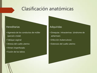 Clasificación anatómicas
Hereditarias
• Agenesia de los conductos de müller
(parcial o total)
• Tabique vaginal
• Atresia del cuello uterino
• Himen imperforado
• Fusión de los labios
Adquiridas
• Sinequias intrauterinas (síndrome de
asherman)
• Infección (tuberculosis)
• Estenosis del cuello uterino
 