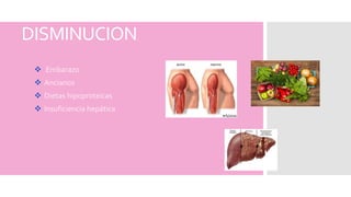 DISMINUCION
 Embarazo
 Ancianos
 Dietas hipoproteicas
 Insuficiencia hepática
 