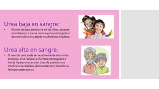 Urea baja en sangre:
• El nivel de urea disminuye en los niños, durante
el embarazo, a causa de un ayuno prolongado o
desnutrición o en caso de insuficiencia hepática.
Urea alta en sangre:
• El nivel de urea suele ser relativamente alto en los
ancianos, si se realizan esfuerzos prolongados o
dietas hiperproteicas o en caso de padecer una
insuficiencia cardíaca, deshidratación y durante la
fase (postoperatoria).
 