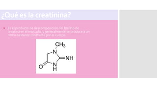 ¿Qué es la creatinina?
• Es el producto de descomposición del fosfato de
creatina en el musculo, y generalmente se produce a un
ritmo bastante constante por el cuerpo.
 