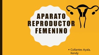 APARATO
REPRODUCTOR
FEMENINO
 Collantes Ayala,
Kendy
 