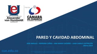 PARED Y CAVIDAD ABDOMINAL
JOSE ANGULO – MARIANA CAÑAS – ANA MARIA CASTAÑO – JUAN CAMILO CASTRILLÓN
|Marzo 2019
 