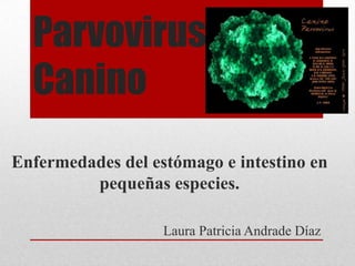 Parvovirus
  Canino
Enfermedades del estómago e intestino en
         pequeñas especies.

                   Laura Patricia Andrade Díaz
 