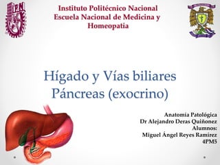 Hígado y Vías biliares
Páncreas (exocrino)
Anatomía Patológica
Dr Alejandro Deras Quiñonez
Alumnos:
Miguel Ángel Reyes Ramírez
4PM5
 