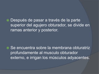 Arteria Basilar | PPTX