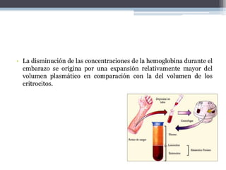 • La disminución de las concentraciones de la hemoglobina durante el
embarazo se origina por una expansión relativamente mayor del
volumen plasmático en comparación con la del volumen de los
eritrocitos.
 