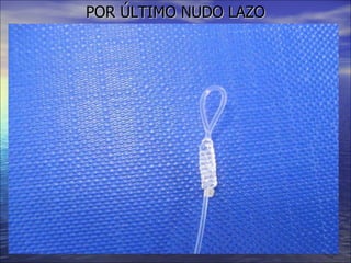 POR ÚLTIMO NUDO LAZO 