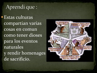 Estas culturas compartian varias cosas en comun como tener dioses para los eventos naturales y rendir homenages de  sacrificio . 