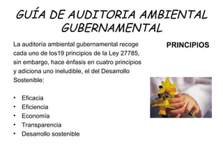 GUÍA DE AUDITORIA AMBIENTAL
GUBERNAMENTAL
La auditoría ambiental gubernamental recoge
cada uno de los19 principios de la Ley 27785,
sin embargo, hace énfasis en cuatro principios
y adiciona uno ineludible, el del Desarrollo
Sostenible:
• Eficacia
• Eficiencia
• Economía
• Transparencia
• Desarrollo sostenible
PRINCIPIOS
 