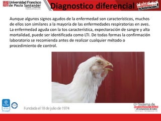 Diagnostico diferencial
Aunque algunos signos agudos de la enfermedad son característicos, muchos
de ellos son similares a la mayoría de las enfermedades respiratorias en aves.
La enfermedad aguda con la tos característica, expectoración de sangre y alta
mortalidad, puede ser identificada como LTI. De todas formas la confirmación
laboratorio se recomienda antes de realizar cualquier método o
procedimiento de control.
 