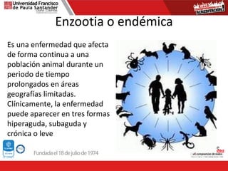 Enzootia o endémica
Es una enfermedad que afecta
de forma continua a una
población animal durante un
periodo de tiempo
prolongados en áreas
geografías limitadas.
Clínicamente, la enfermedad
puede aparecer en tres formas
hiperaguda, subaguda y
crónica o leve
 