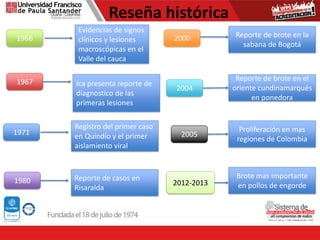 Reseña histórica
1966
1967
Evidencias de signos
clínicos y lesiones
macroscópicas en el
Valle del cauca
Ica presenta reporte de
diagnostico de las
primeras lesiones
1971
Registro del primer caso
en Quindío y el primer
aislamiento viral
1980
2000
Reporte de casos en
Risaralda
Reporte de brote en la
sabana de Bogotá
2012-2013
2004
Reporte de brote en el
oriente cundinamarqués
en ponedora
2005
Proliferación en mas
regiones de Colombia
Brote mas importante
en pollos de engorde
 