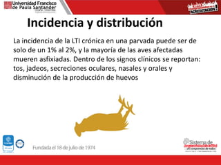 Incidencia y distribución
La incidencia de la LTI crónica en una parvada puede ser de
solo de un 1% al 2%, y la mayoría de las aves afectadas
mueren asfixiadas. Dentro de los signos clínicos se reportan:
tos, jadeos, secreciones oculares, nasales y orales y
disminución de la producción de huevos
 
