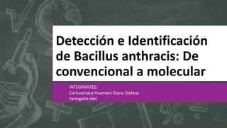 Detección e Identificación
de Bacillus anthracis: De
convencional a molecular
INTEGRANTES:
Carhuamaca Huamani Diana Stefany
Yaringaño Joel
 