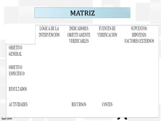 PADILLA ARROYO CARLOS ANDRÉS