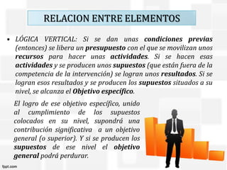 RAMIREZ ROMERO MARIA FERNANDA