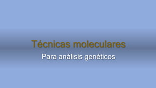 Técnicas moleculares
Para análisis genéticos
 