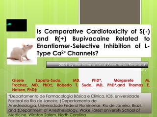 Is Comparative Cardiotoxicity of S(-)
and R(+) Bupivacaine Related to
Enantiomer-Selective Inhibition of L-
Type Ca2+ Channels?
Gisele Zapata-Sudo, MD, PhD*, Margarete M.
Trachez, MD, PhD†, Roberto T. Sudo, MD, PhD*,and Thomas E.
Nelson, PhD‡
*Departamento de Farmacologia Básica e Clinica, ICB, Universidade
Federal do Rio de Janeiro; †Departamento de
Anestesiologia, Universidade Federal Fluminense, Rio de Janeiro, Brazil;
and ‡Department of Anesthesiology, Wake Forest University School of
Medicine, Winston Salem, North Carolina
2001 by the International Anesthesia Research
Society
 