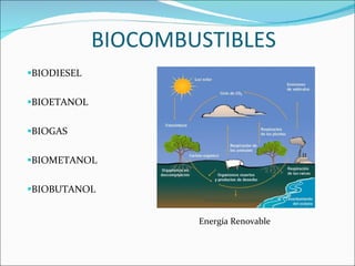Expo Biocombustibles