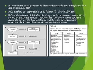  Interacciones en el proceso de biotransformación por la isoforma 3A4 
del citocromo P450. 
 A)La enzima es responsable de la formación de metabolitos. 
 B)Cuando actúa un inhibidor disminuye la formación de metabolitos, 
se incrementan las concentraciones del fármaco y puede aparecer 
aumento del efecto farmacológico y del riesgo de reacciones 
adversas. RAM: reacciones adversas medicamentosas. 
 