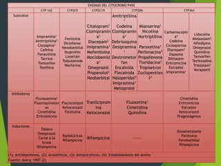 ENZIMAS DEL CITOCROMO P450 
CYP 1A2 CYP2C9 CYP2C19 CYP2D6 CYP3A4 
Sustratos 
Imipramina1 
Amitriptilina1 
Clozapina3 
Cafeína 
Fenacetina 
Tacrina 
Tamoxifen 
Teofilina 
Fenitoina 
Diclofenac 
Hexobarbital 
Ibuprofen 
Losartan 
Tolbutamida 
Warfarina 
Citalopram1 
Clomipramin 
a1 
Diacepam2 
Imipramina1 
Mefenitoína 
Moclobemid 
a1 
Omeprazol 
Propanolol2 
Neobarbital 
Amitriptilina 
1 
Codeína 
Clomipramin 
a1 
Debrisoquina 
Desipramina 
1 
Dextrometor 
fan 
Encainida 
Flecainida 
Haloperidol3 
Imipramina1 
Metoprolol 
Mianserina1 
Nicotina 
Nortriptilina 
1 
Paroxetina1 
Perfenacina3 
Propafenona 
Tioridacina3 
Tropisetron 
Zuclopentixo 
l3 
Carbamacepin 
a4 
Codeína 
Ciclosporina 
Diacepam3 
Dapsona 
Diltiazem 
Eritromicina 
Estradiol 
Imipramina1 
Lidocaína 
Midazolam2 
Nifedipina 
Omeprazol 
Quinidina 
Tamoxifen 
Terfenadina 
Triazolam2 
Verapamil 
Inhibidores 
Fluvoxamina1 
Fluoroquinolon 
as 
Cimetidina 
Eritromicina 
Flucoconazol 
Ketoconazol 
Fenitoína 
Tranilciprom 
ina 
Ketoconazol 
Fluoxetina1 
Cimetidina 
Quinidina 
Cimetidina 
Eritromicina 
Estradiol 
Ketoconazol 
Progestágenos 
Inductores 
Tabaco 
Omeprazol 
Carne a la 
brasa 
Rifampicina 
Barbitúricos 
Rifampicina 
Rifampicina ----- 
Dexametasona 
Fenitoína 
Fenobarbital 
Rifampicina 
(1): Antidepresivos, (2): Ansiolíticos, (3): Antipsicóticos, (4): Estabilizadores del ánimo 
Fuente: Avery, 1997 (2) 
 
