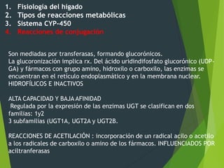 1. Fisiología del hígado 
2. Tipos de reacciones metabólicas 
3. Sistema CYP-450 
4. Reacciones de conjugación 
Son mediadas por transferasas, formando glucorónicos. 
La glucoronización implica rx. Del ácido uridindifosfato glucorónico (UDP-GA) 
y fármacos con grupo amino, hidroxilo o carboxilo, las enzimas se 
encuentran en el retículo endoplasmático y en la membrana nuclear. 
HIDROFÍLICOS E INACTIVOS 
ALTA CAPACIDAD Y BAJA AFINIDAD 
Regulada por la expresión de las enzimas UGT se clasifican en dos 
familias: 1y2 
3 subfamilias (UGT1A, UGT2A y UGT2B. 
REACCIONES DE ACETILACIÓN : incorporación de un radical acilo o acetilo 
a los radicales de carboxilo o amino de los fármacos. INFLUENCIADOS POR 
aciltranferasas 
 