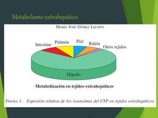Metabolismo extrahepático 
 