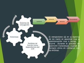 Oxidasas de 
función mixta 
dependientes del 
CYP 
Estearasas 
Sistemas de 
conjugación 
Acetilación 
Sulfatación 
Metilación 
Glucuronidación 
El metabolismo GI en la mayoría 
de l0s casos es aparente tras la 
administración oral o rectal, y 
ocurre durante el proceso de 
absorción transcelular, cuando el 
fármaco entra en contacto con 
las enzimas. 
 