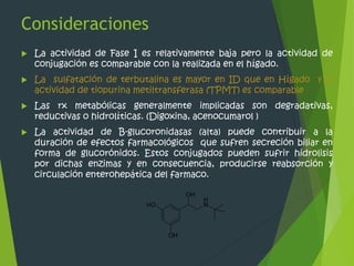 Consideraciones 
 La actividad de Fase I es relativamente baja pero la actividad de 
conjugación es comparable con la realizada en el hígado. 
 La sulfatación de terbutalina es mayor en ID que en Hígado y la 
actividad de tiopurina metiltransferasa (TPMT) es comparable 
 Las rx metabólicas generalmente implicadas son degradativas, 
reductivas o hidrolíticas. (Digoxina, acenocumarol ) 
 La actividad de B-glucoronidasas (alta) puede contribuir a la 
duración de efectos farmacológicos que sufren secreción biliar en 
forma de glucorónidos. Estos conjugados pueden sufrir hidrolisis 
por dichas enzimas y en consecuencia, producirse reabsorción y 
circulación enterohepática del farmaco. 
 