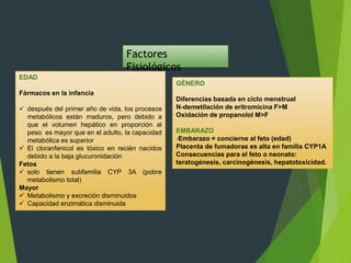 Factores 
Fisiológicos 
EDAD 
Fármacos en la infancia 
 después del primer año de vida, los procesos 
metabólicos están maduros, pero debido a 
que el volumen hepático en proporción al 
peso es mayor que en el adulto, la capacidad 
metabólica es superior 
 El cloranfenicol es tóxico en recién nacidos 
debido a la baja glucuronidación 
Fetos 
 solo tienen subfamilia CYP 3A (pobre 
metabolismo total) 
Mayor 
 Metabolismo y excreción disminuidos 
 Capacidad enzimática disminuida 
GÉNERO 
Diferencias basada en ciclo menstrual 
N-demetilación de eritromicina F>M 
Oxidación de propanolol M>F 
EMBARAZO 
-Embarazo = concierne al feto (edad) 
Placenta de fumadoras es alta en familia CYP1A 
Consecuencias para el feto o neonato: 
teratogénesis, carcinogénesis, hepatotoxicidad. 
 