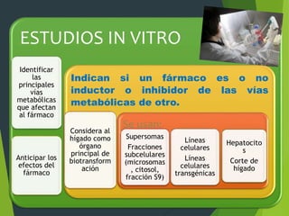 ESTUDIOS IN VITRO 
Identificar 
las 
principales 
vías 
metabólicas 
que afectan 
al fármaco 
Anticipar los 
efectos del 
fármaco 
Indican si un fármaco es o no 
inductor o inhibidor de las vías 
metabólicas de otro. 
Considera al 
hígado como 
órgano 
principal de 
biotransform 
ación 
Se usan: 
Supersomas 
Fracciones 
subcelulares 
(microsomas 
, citosol, 
fracción S9) 
Líneas 
celulares 
Líneas 
celulares 
transgénicas 
Hepatocito 
s 
Corte de 
hígado 
 