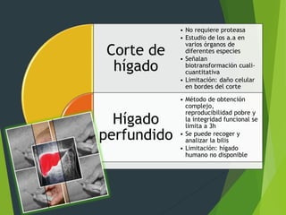 Corte de 
hígado 
Hígado 
perfundido 
• No requiere proteasa 
• Estudio de los a.a en 
varios órganos de 
diferentes especies 
• Señalan 
biotransformación cuali-cuantitativa 
• Limitación: daño celular 
en bordes del corte 
• Método de obtención 
complejo, 
reproducibilidad pobre y 
la integridad funcional se 
limita a 3h 
• Se puede recoger y 
analizar la bilis 
• Limitación: hígado 
humano no disponible 
 
