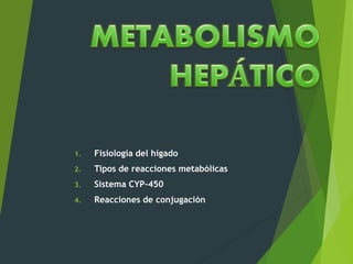 1. Fisiología del hígado 
2. Tipos de reacciones metabólicas 
3. Sistema CYP-450 
4. Reacciones de conjugación 
 