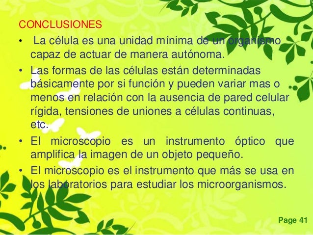 Conclusion de la teoria celular