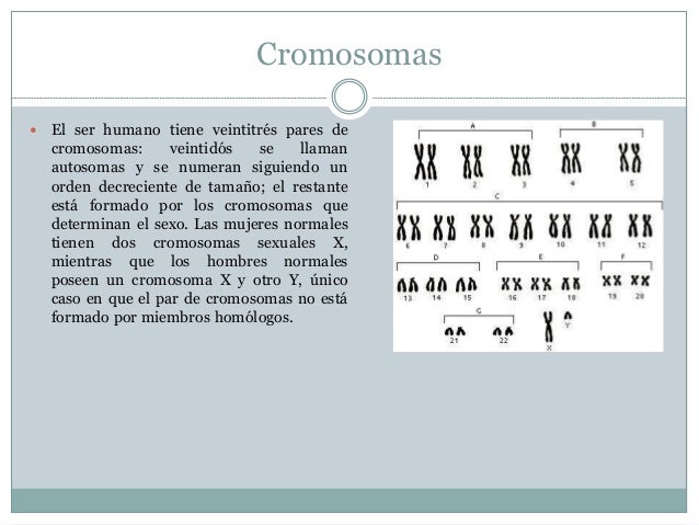 Mutaciones y Anomalías ligadas a los cromosomas sexuales
