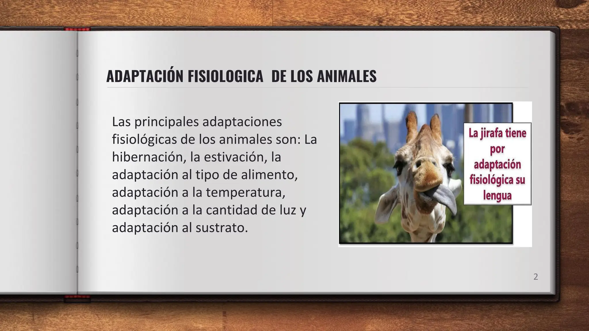 La estivación: ADAPTACIÓN FISIOLOGICA DE LOS ANIMALES .pdf