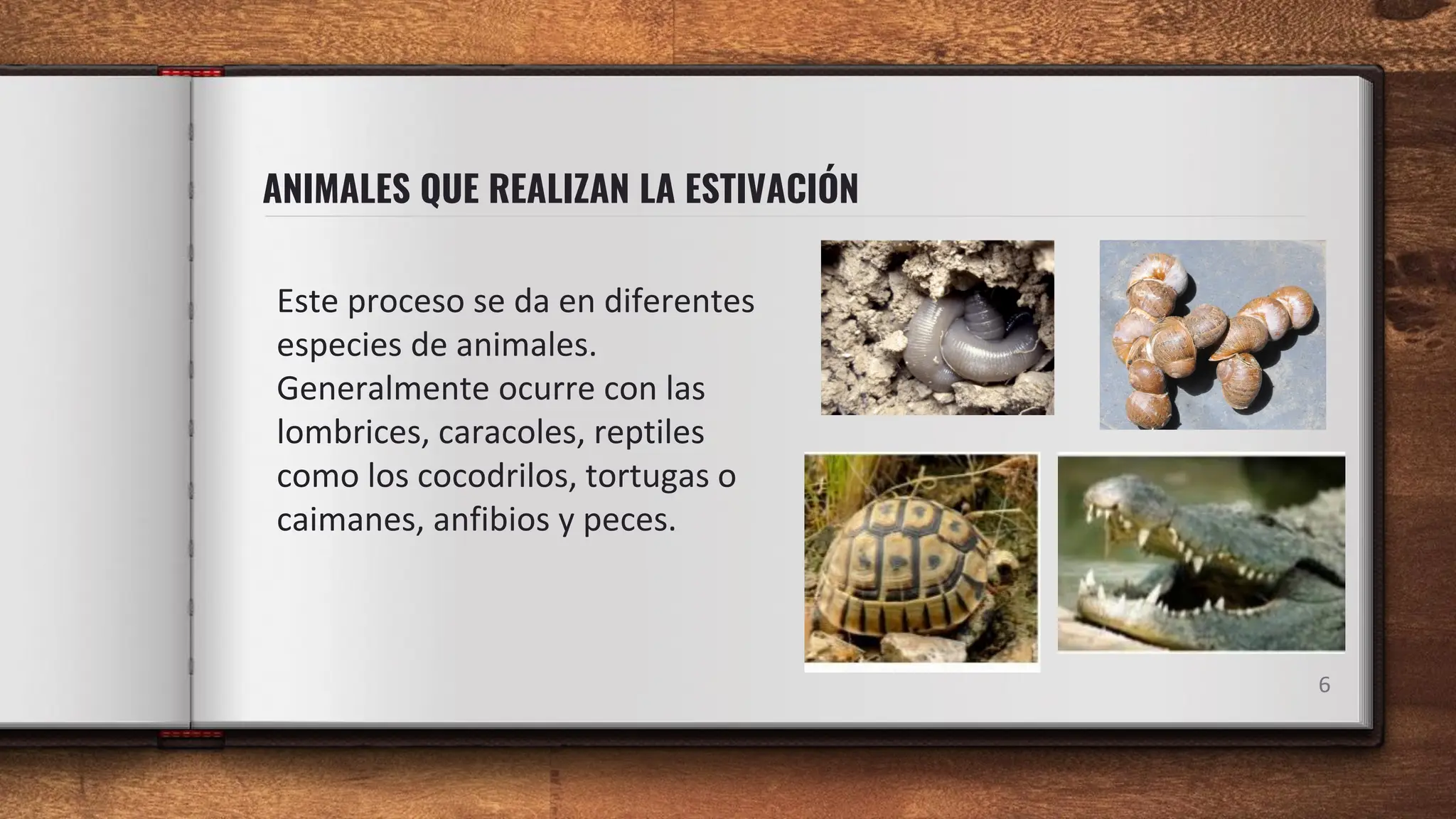 La estivación: ADAPTACIÓN FISIOLOGICA DE LOS ANIMALES .pdf
