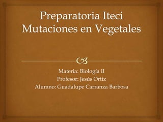 Materia: Biología II
Profesor: Jesús Ortiz
Alumno: Guadalupe Carranza Barbosa
 