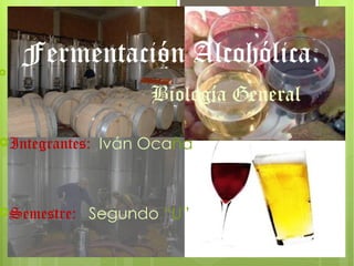 
    Fermentación Alcohólica
                     Biología General

Integrantes:   Iván Ocaña



Semestre:   Segundo “U”
 