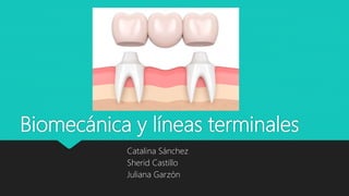 Biomecánica y líneas terminales
Catalina Sánchez
Sherid Castillo
Juliana Garzón
 